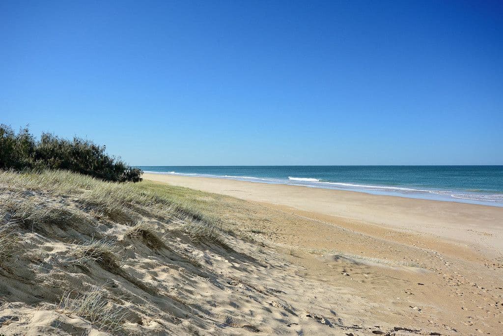 427 Oceanic Drive South, Wurtulla QLD 4575, Wurtulla - Thumbnail 2