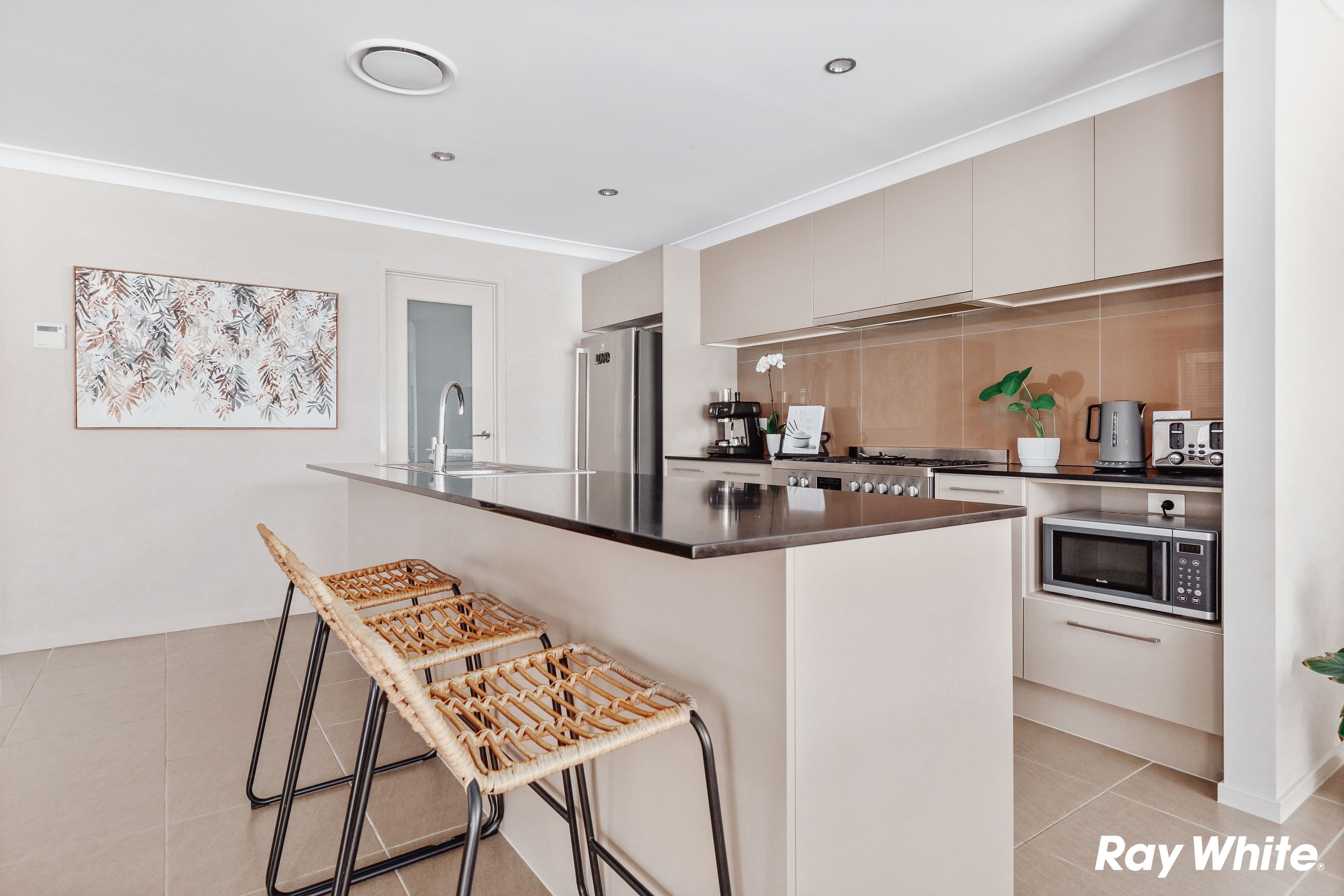 10 Ashburton Crescent, Schofields NSW 2762, Tallawong - Thumbnail 4