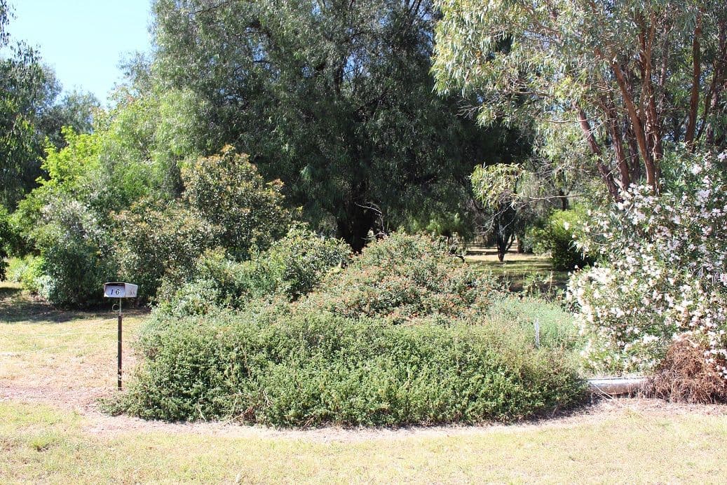 16 Old Keera Road, Bingara - Thumbnail 2