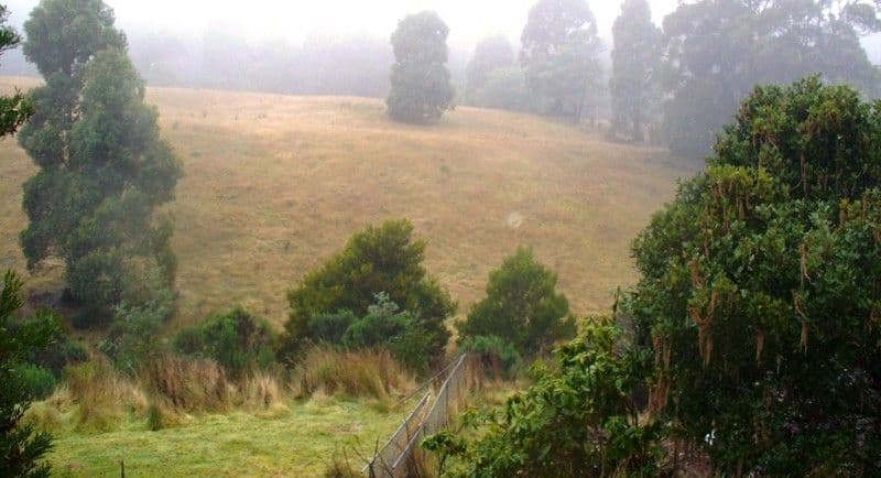 1610 Woodsdale Road, LEVENDALE TAS 7120, Levendale - Thumbnail 3