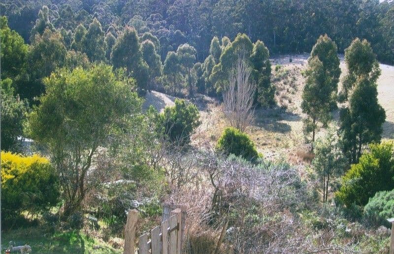 1610 Woodsdale Road, LEVENDALE TAS 7120, Levendale - Thumbnail 7
