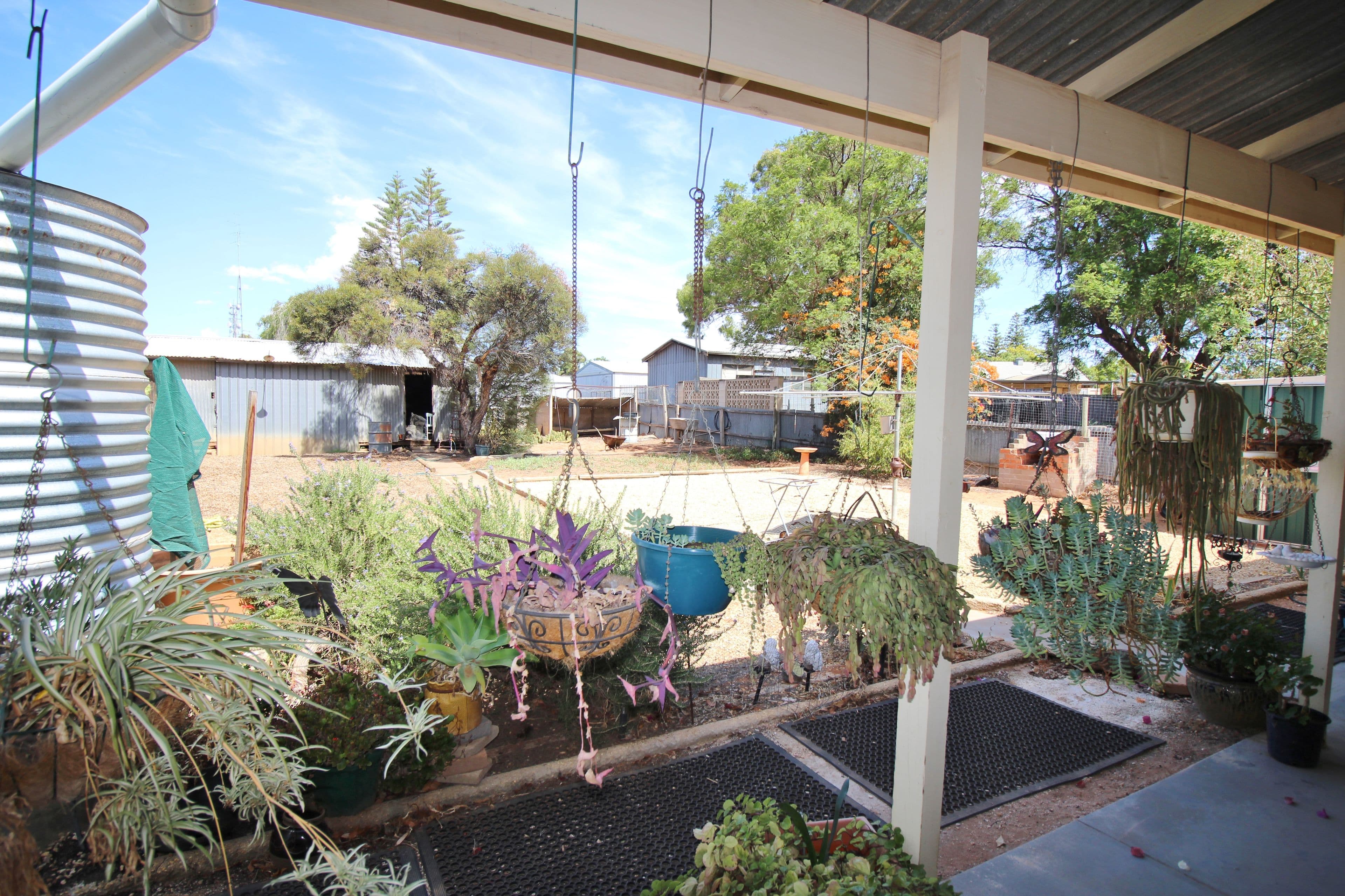 16 Cornwall Street, Berri SA 5343, Berri - Thumbnail 6