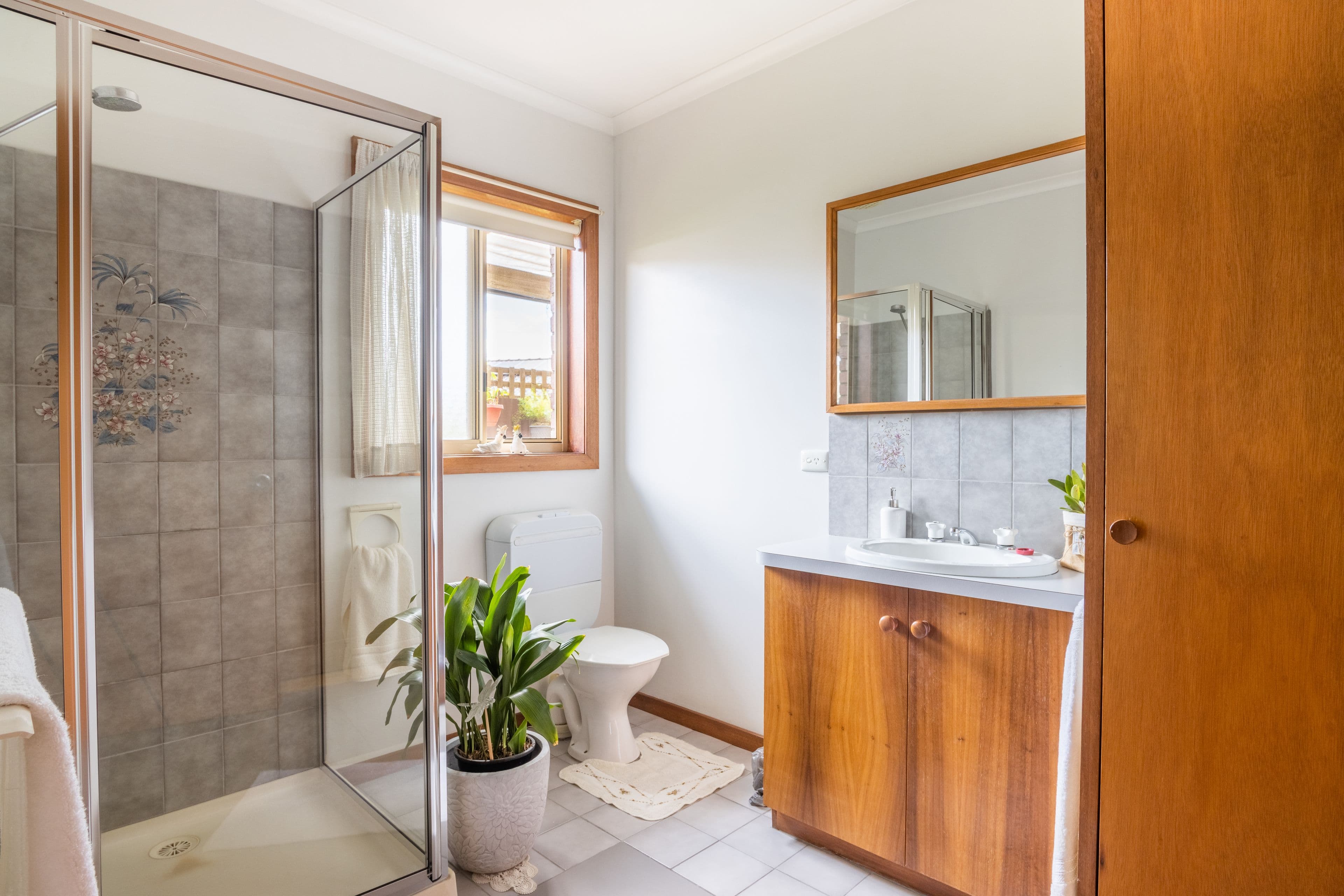 31 Latimer Street, Benalla VIC 3672, Benalla - Thumbnail 4
