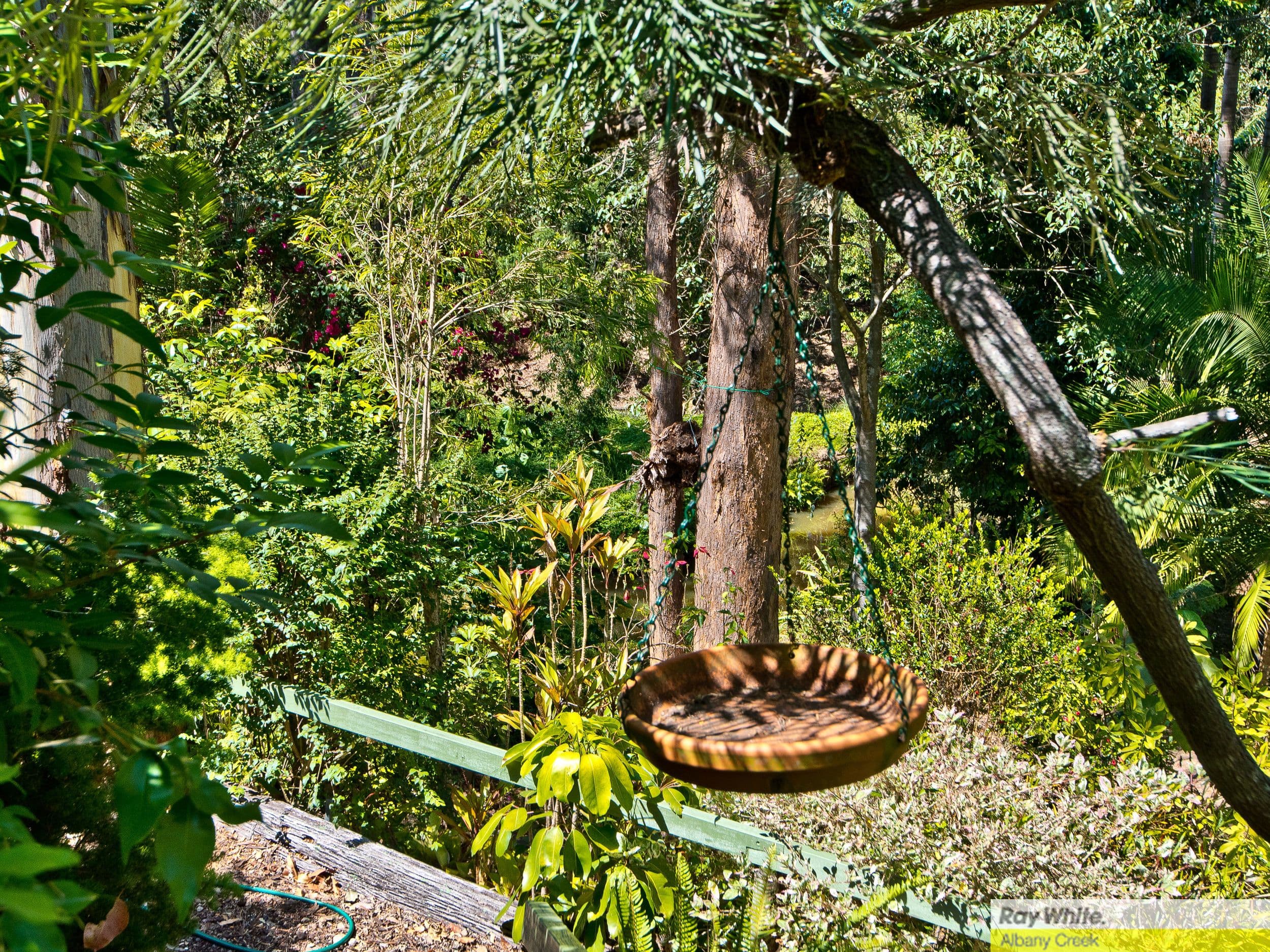 101 Illuta Avenue, Ferny Hills QLD 4055, Ferny Hills - Thumbnail 6