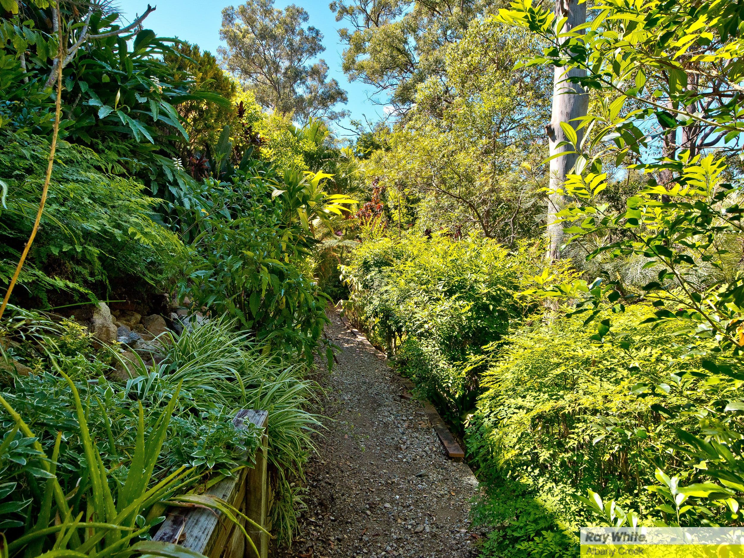 101 Illuta Avenue, Ferny Hills QLD 4055, Ferny Hills - Thumbnail 8