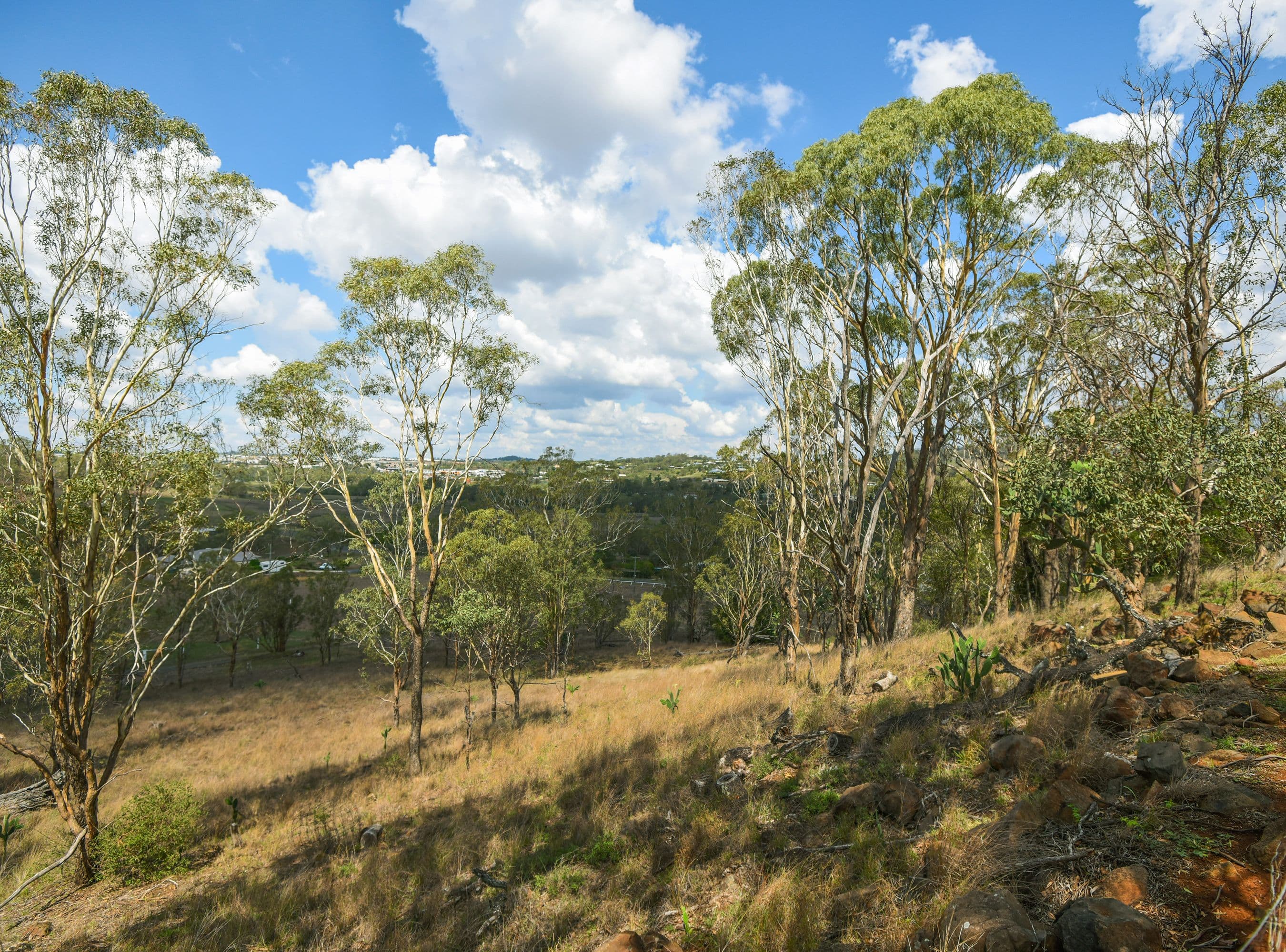 12 Burraway Street, Torrington QLD 4350, Torrington - Thumbnail 2