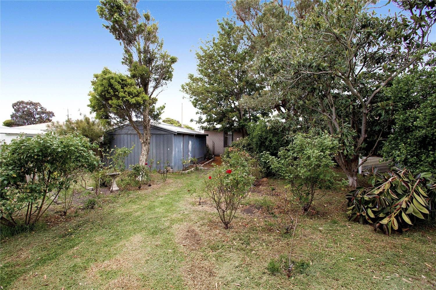 9 Watsonia Grove, NORLANE VIC 3214, Norlane - Thumbnail 6