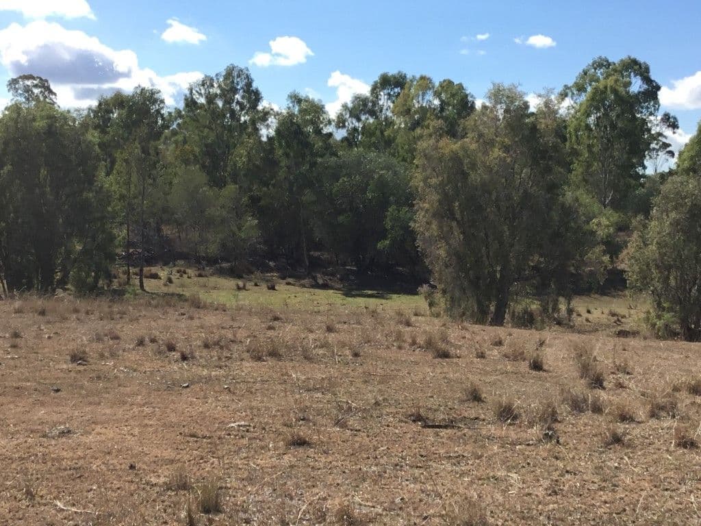195 Gladstone Monto Road, Calliope QLD 4680, Calliope - Thumbnail 7