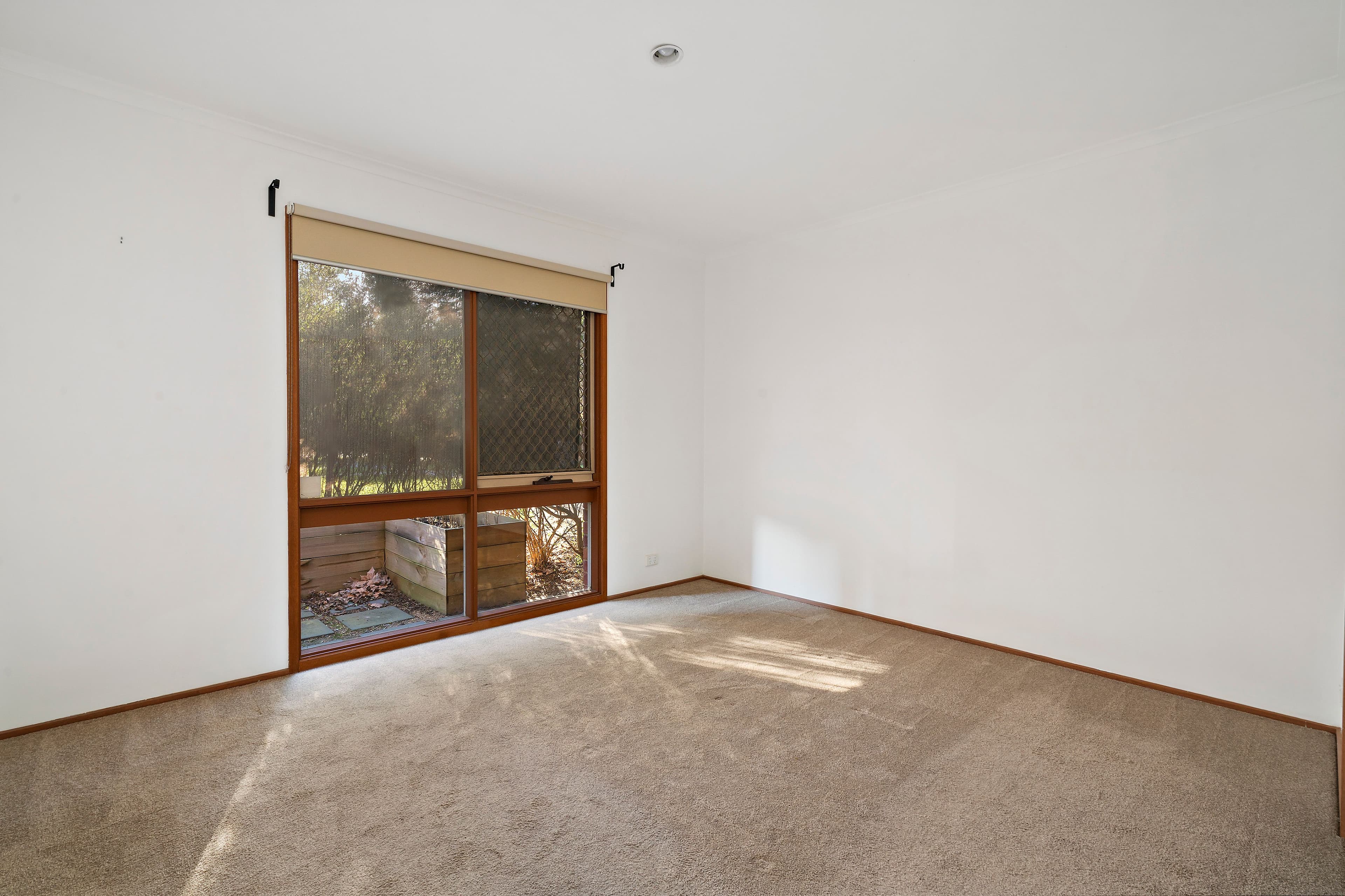 3 Mcintosh Court, Aspendale Gardens VIC 3195, Aspendale Gardens - Thumbnail 5