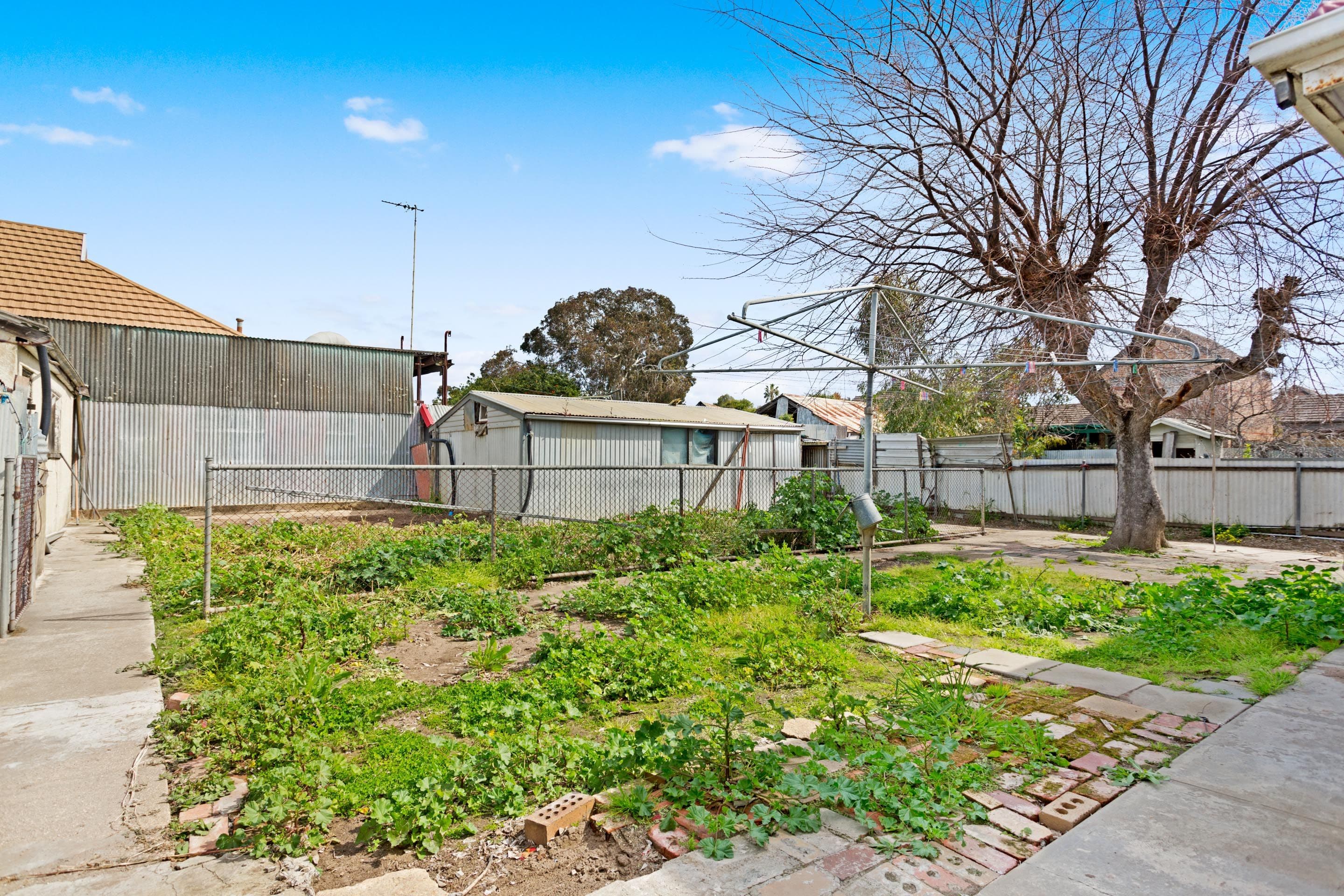 49 Coburg Road, Alberton SA 5014, Alberton - Thumbnail 8