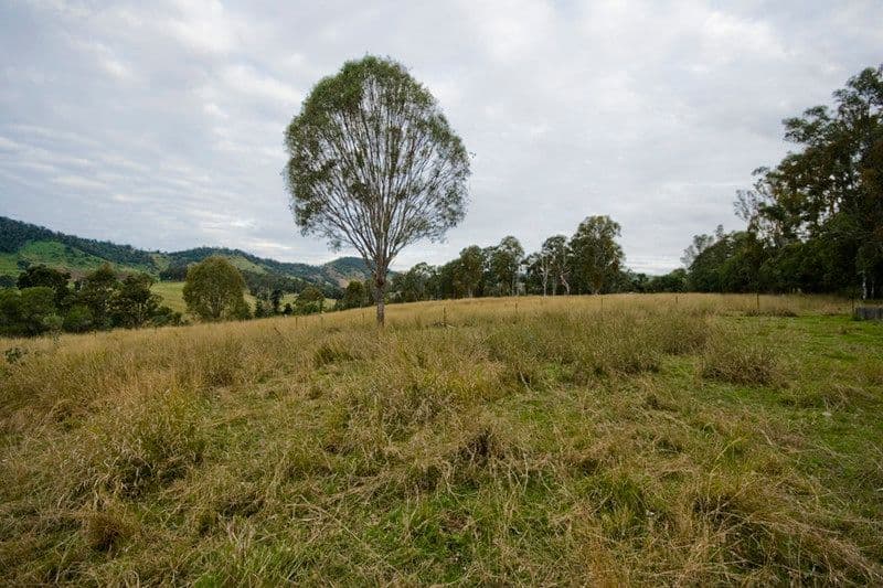 CALICO CREEK QLD 4570, Calico Creek - Thumbnail 5