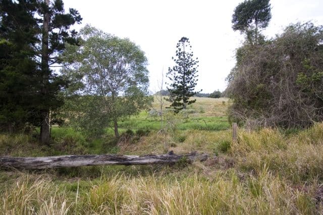 CALICO CREEK QLD 4570, Calico Creek - Thumbnail 7