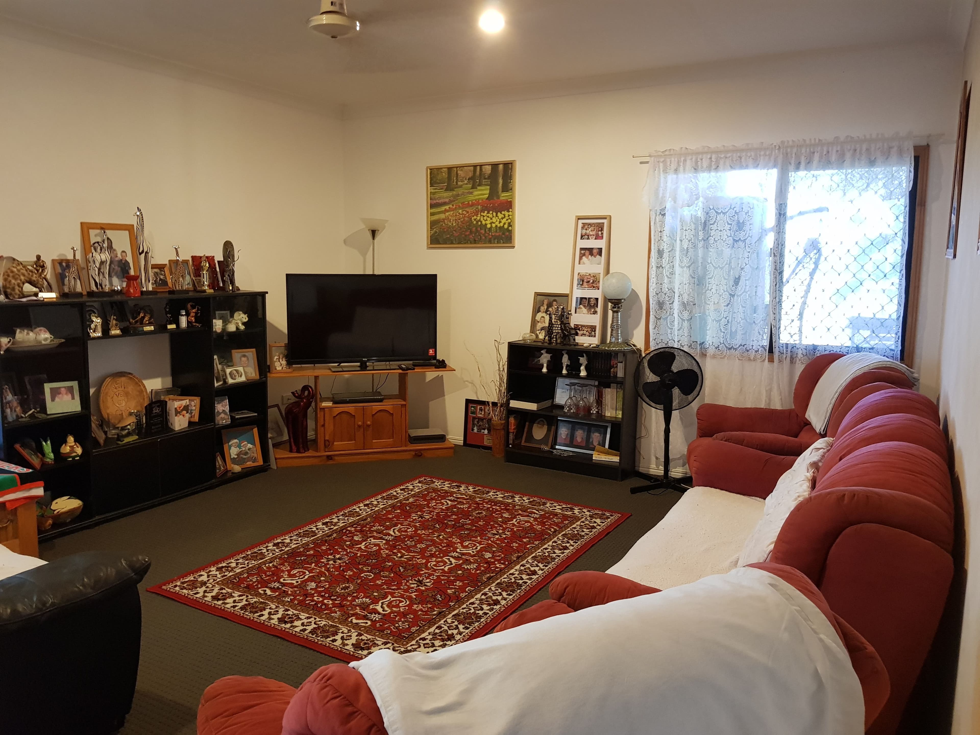 3 Tulipwood Place, Coral Cove QLD 4670, Coral Cove - Thumbnail 6