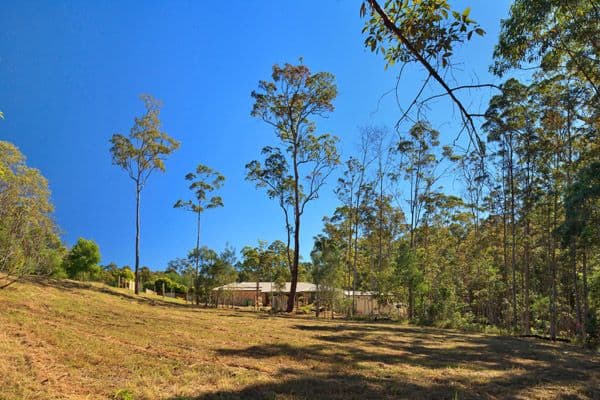 5 Crab Apple Court, COOROY QLD 4563, Cooroy - Thumbnail 5
