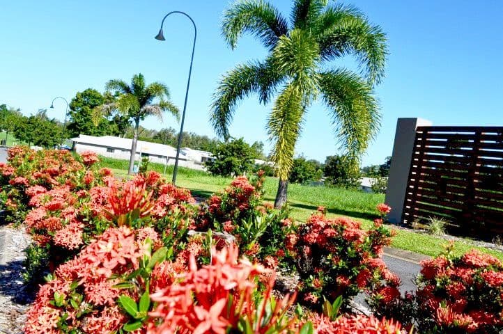 2 Lani Close, Mission Beach QLD 4852, Mission Beach - Thumbnail 4