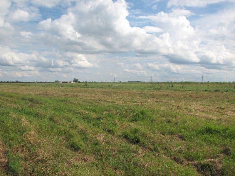lot 1 Gordons Road, ALLOWAY QLD 4670, Alloway - Image 1
