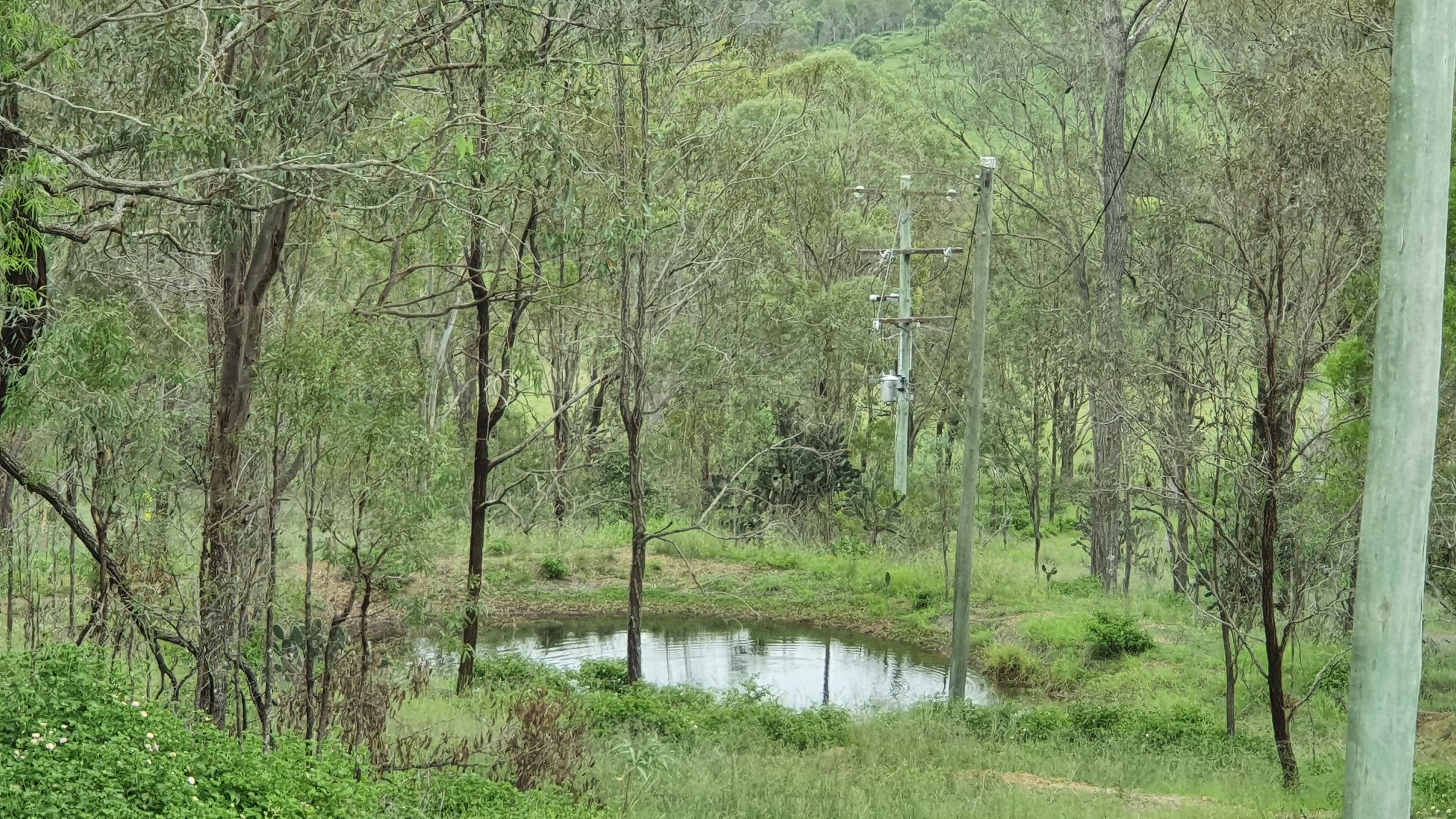 445 COOYAR-RANGEMORE Road, Cooyar QLD 4402, Cooyar - Thumbnail 6