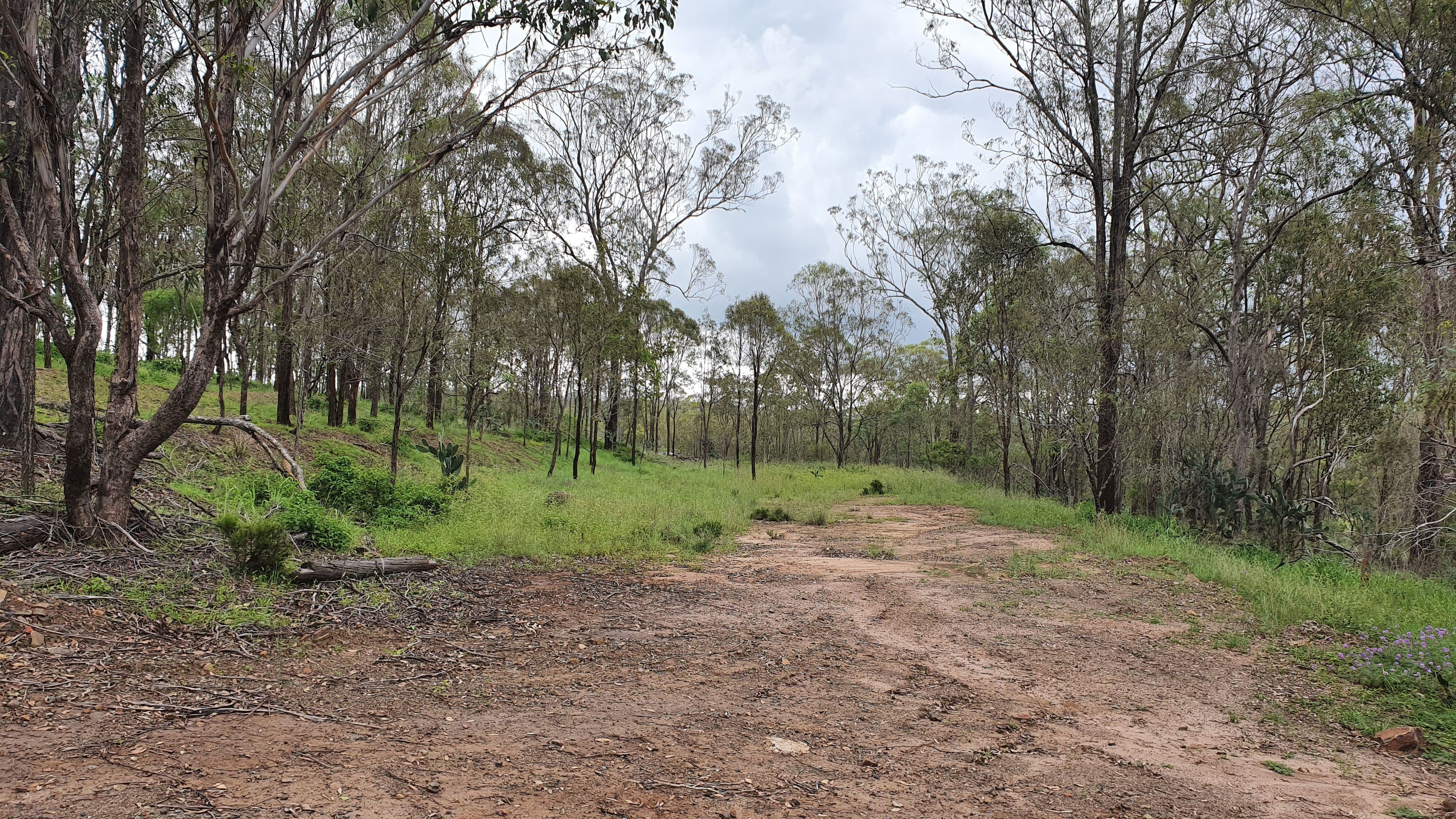 445 COOYAR-RANGEMORE Road, Cooyar QLD 4402, Cooyar - Thumbnail 7