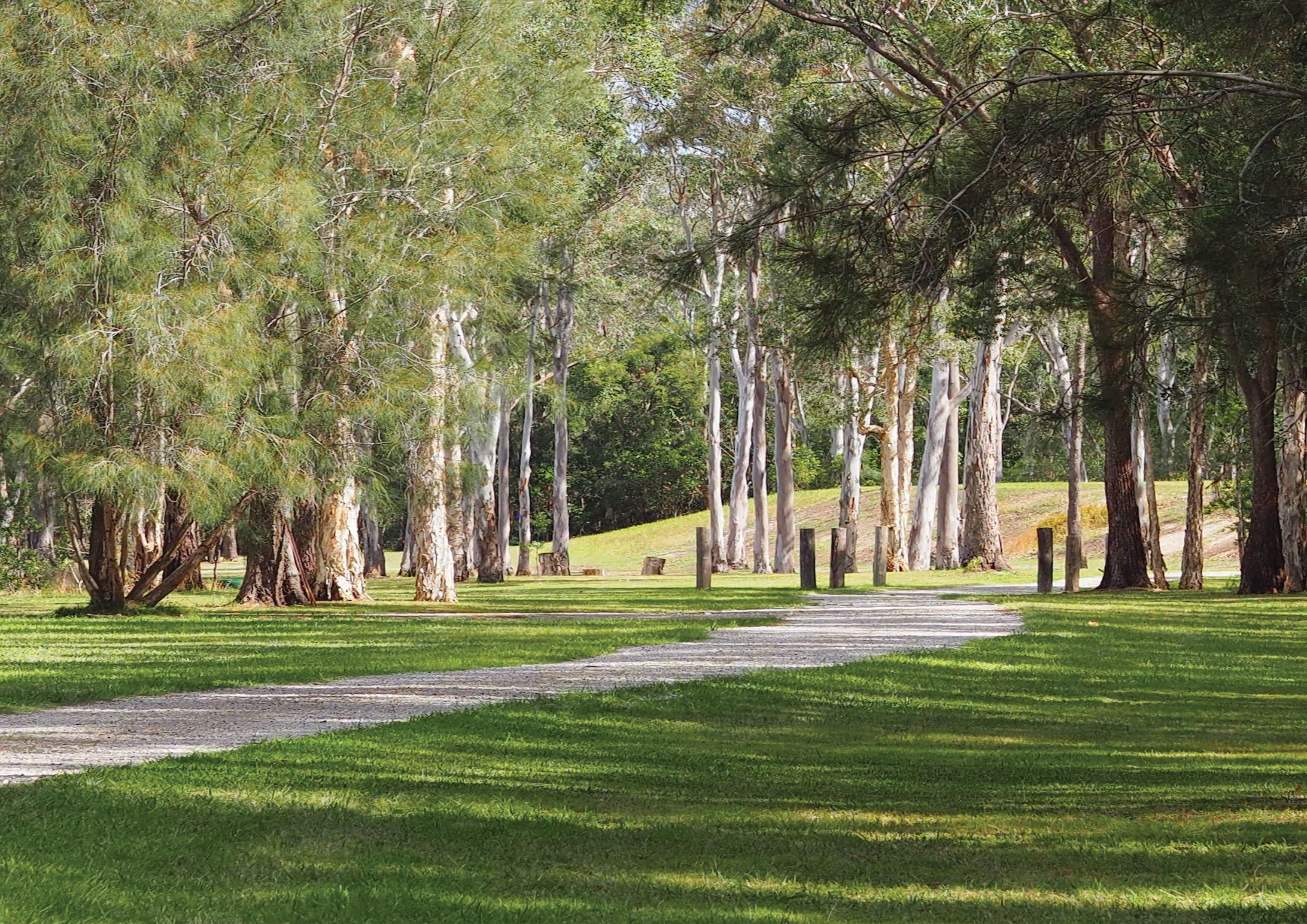 160 Stingaree Pt Drive, Dora Creek NSW 2264, Dora Creek - Thumbnail 5