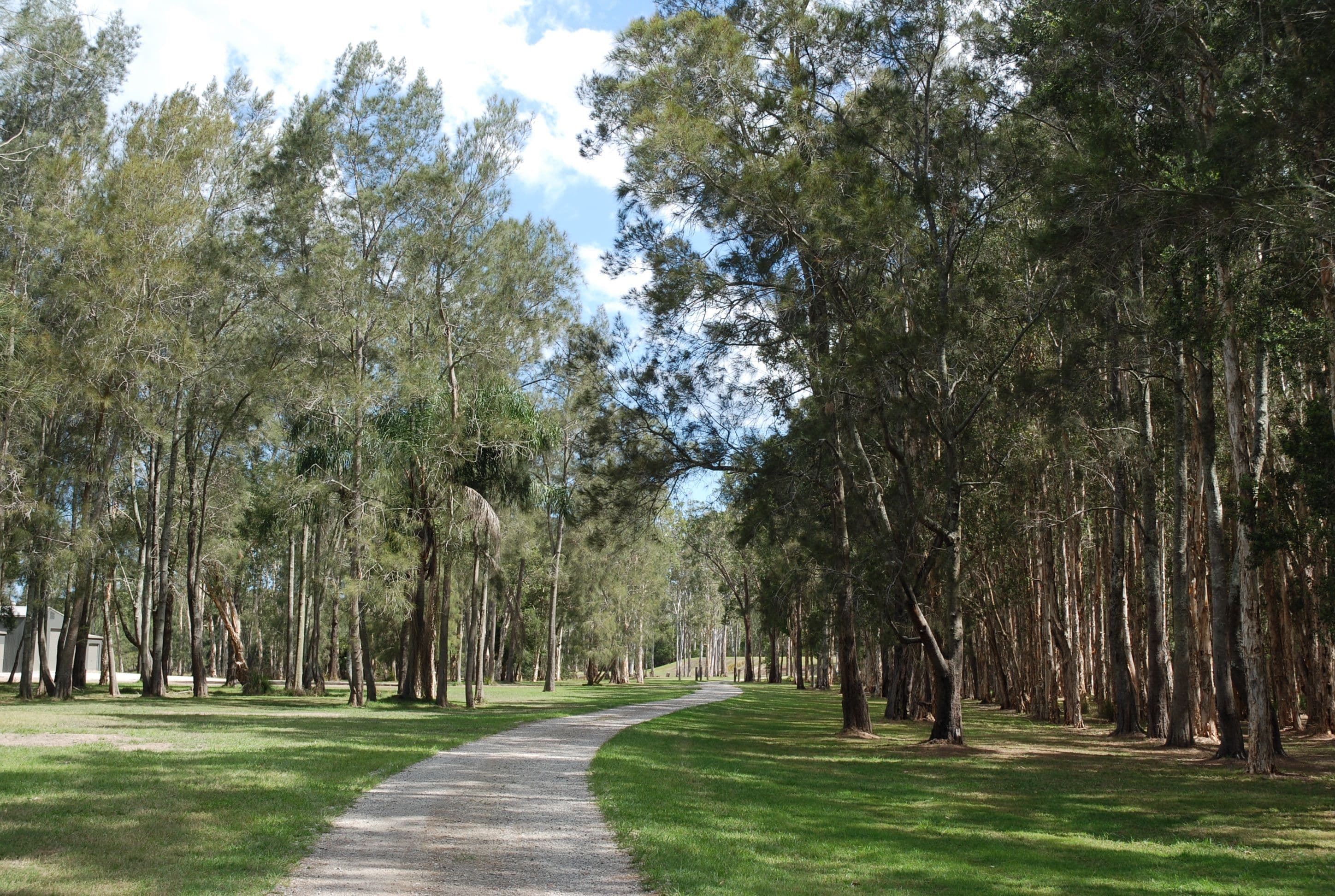 160 Stingaree Pt Drive, Dora Creek NSW 2264, Dora Creek - Thumbnail 8