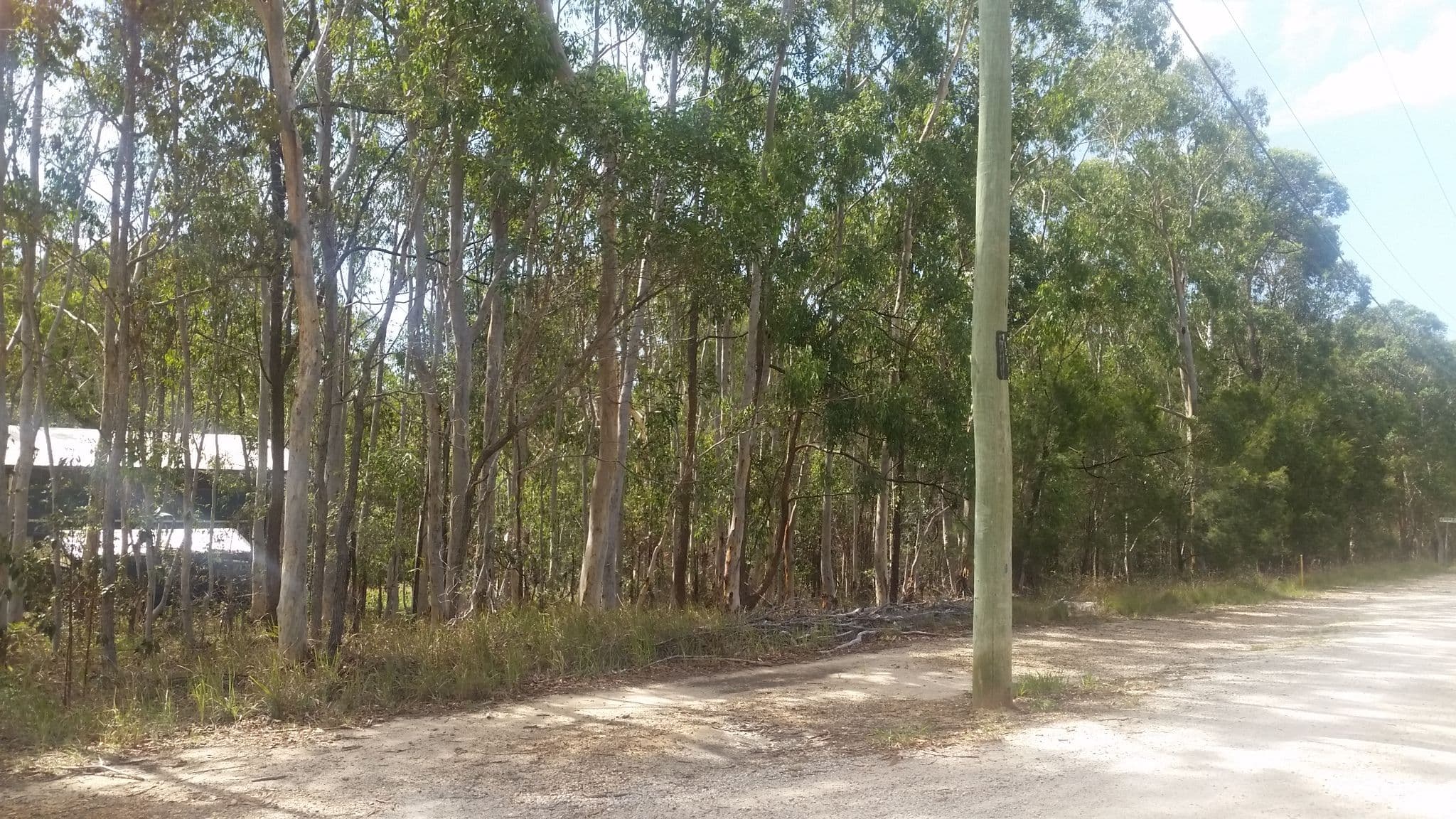 59 Duringan Street, Russell Island QLD 4184, Russell Island - Thumbnail 2