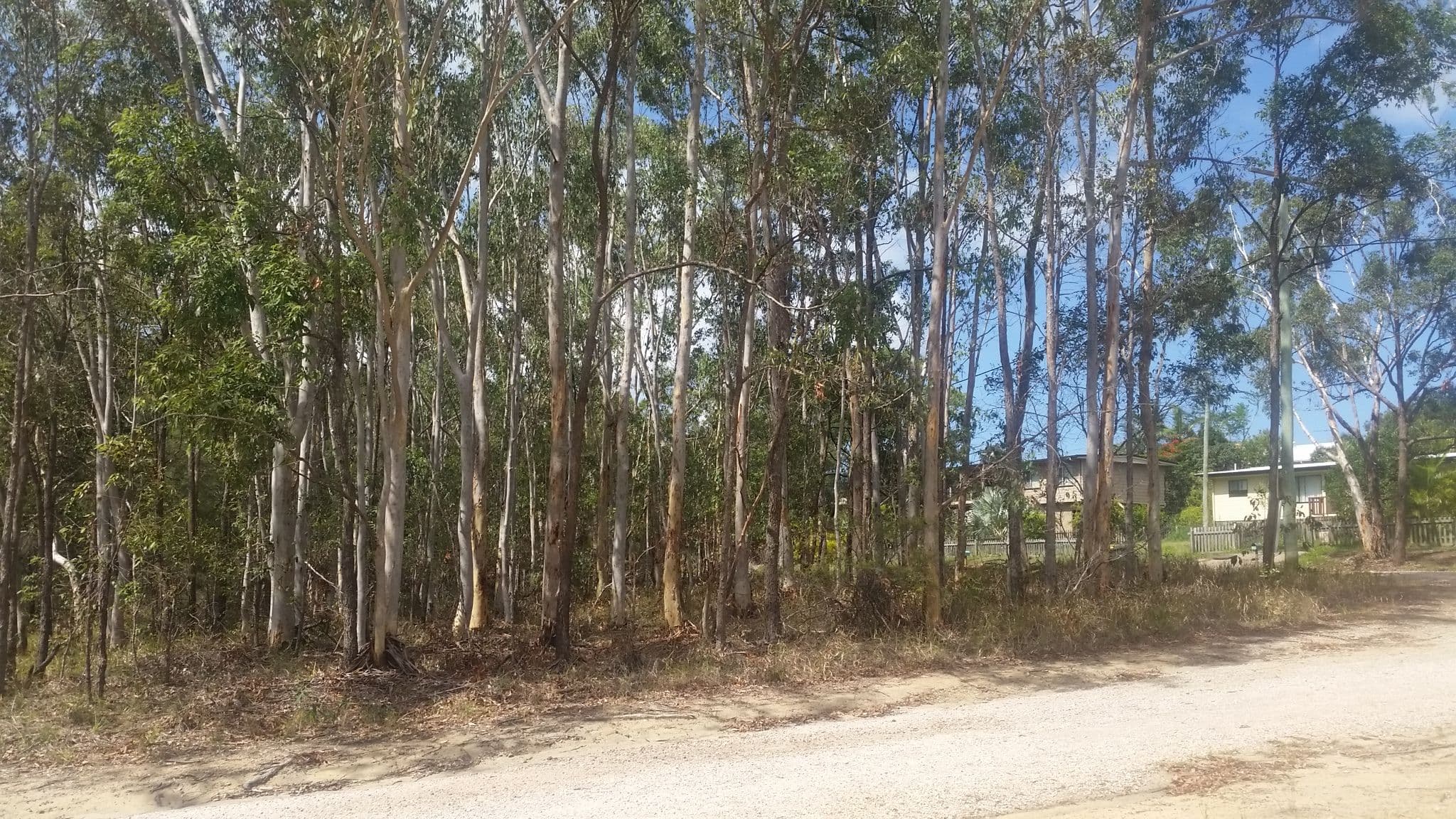 59 Duringan Street, Russell Island QLD 4184, Russell Island - Thumbnail 3