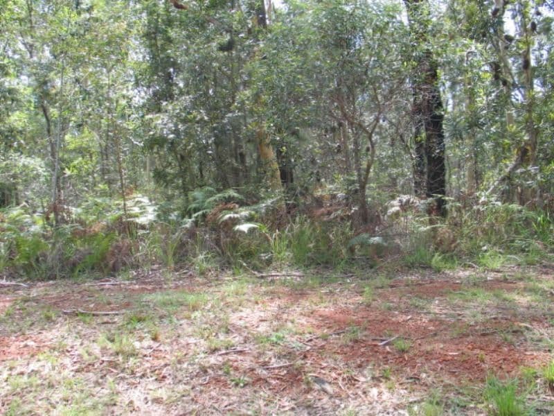 43 Hacking Ridge Road, RUSSELL ISLAND QLD 4184, Russell Island - Image 1