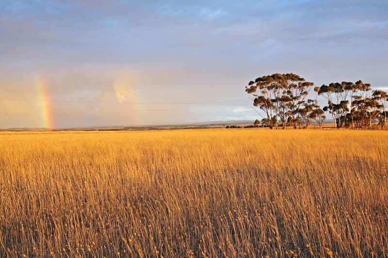 45 Ondit Road, WINCHELSEA VIC 3241, Winchelsea - Thumbnail 4