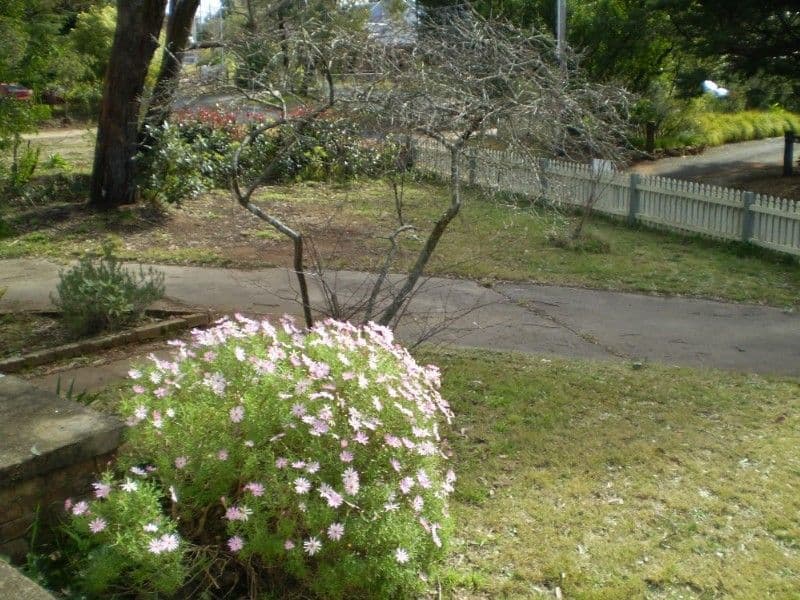 17 Lawson View Parade, WENTWORTH FALLS NSW 2782, Wentworth Falls - Thumbnail 5