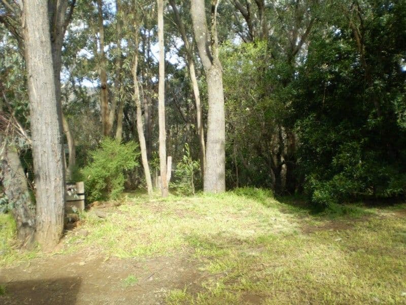 17 Lawson View Parade, WENTWORTH FALLS NSW 2782, Wentworth Falls - Thumbnail 7