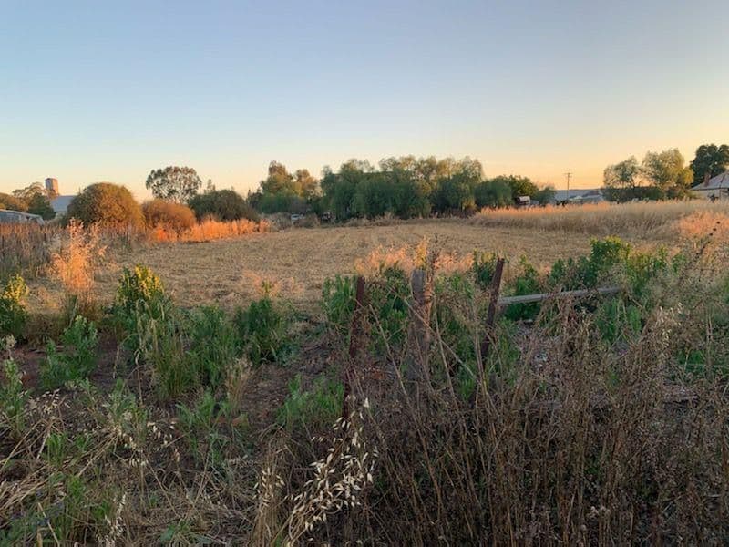 74 Bogan Street, Bogan Gate NSW 2876, Bogan Gate - Thumbnail 2