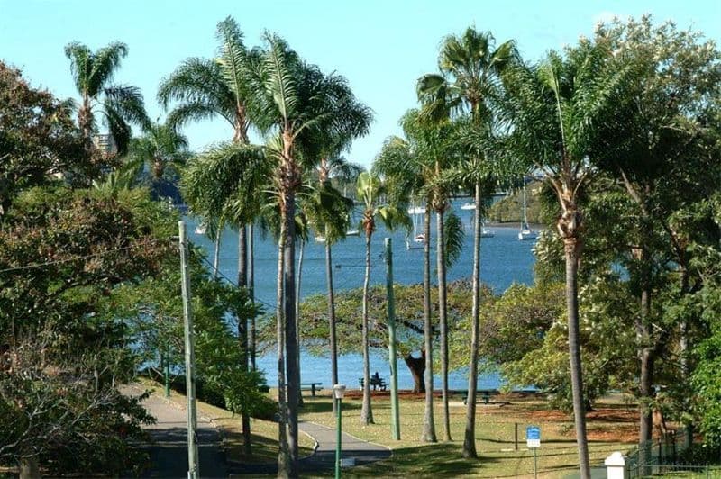 9  Newstead Avenue, NEWSTEAD QLD 4006, Newstead - Thumbnail 2