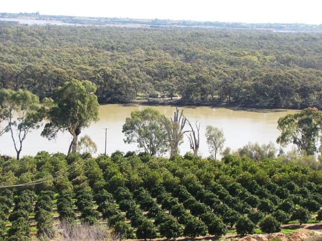 82 Nitschke Road, LOXTON SA 5333, Loxton - Thumbnail 2