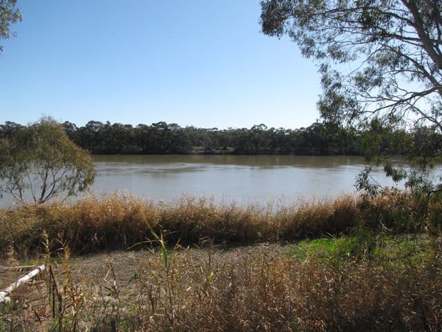 82 Nitschke Road, LOXTON SA 5333, Loxton - Thumbnail 3