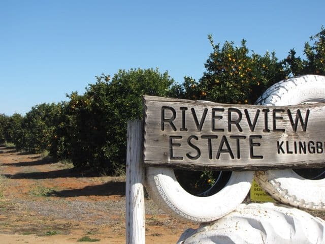 82 Nitschke Road, LOXTON SA 5333, Loxton - Thumbnail 4