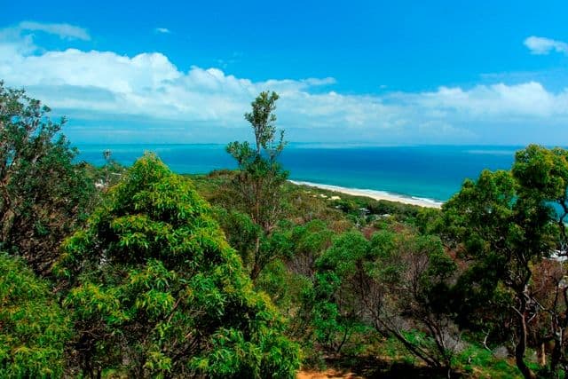 87 Tramican Street, POINT LOOKOUT QLD 4183, Point Lookout - Thumbnail 2