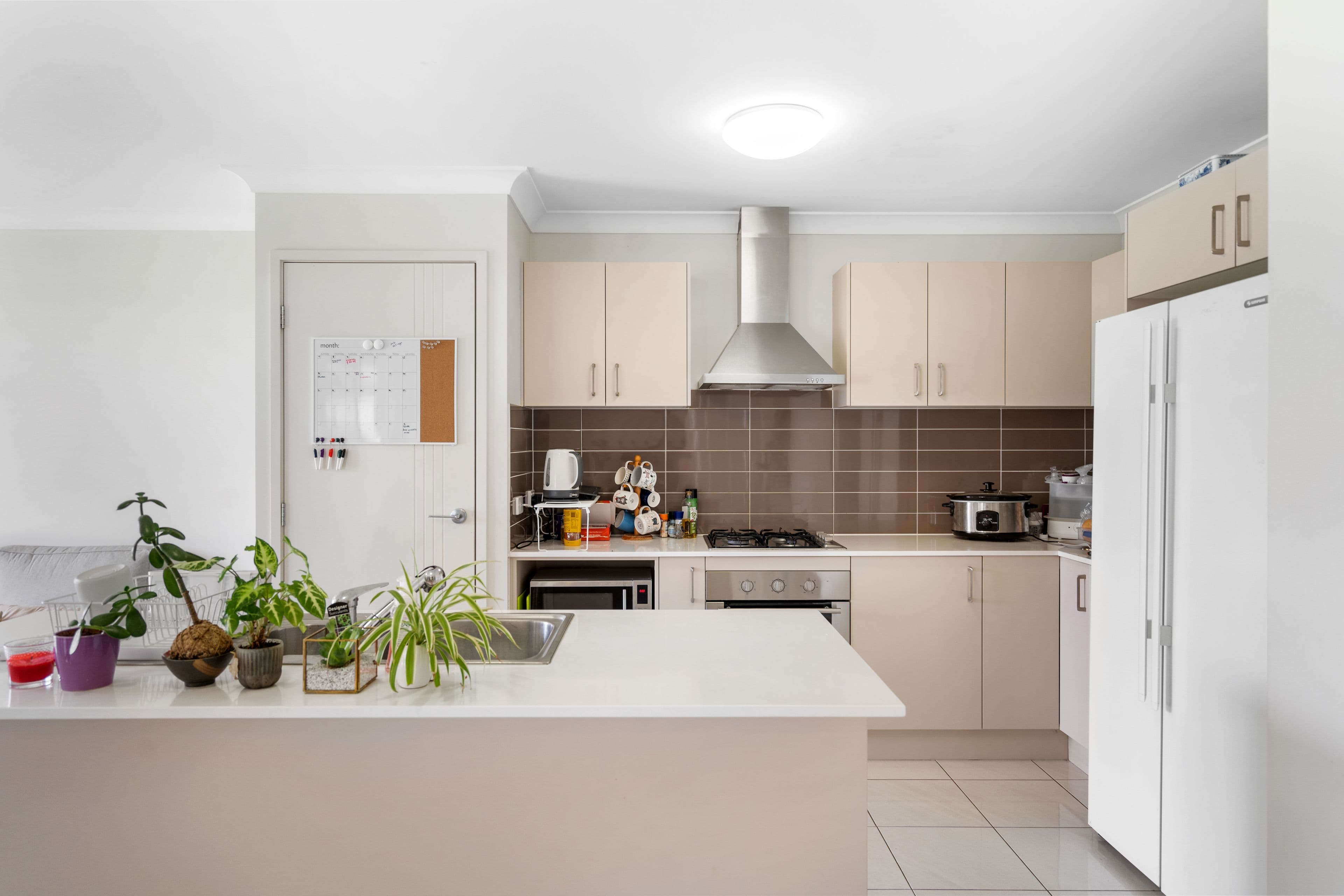 15 Lemongrass Circuit, Griffin QLD 4503, Griffin - Thumbnail 3