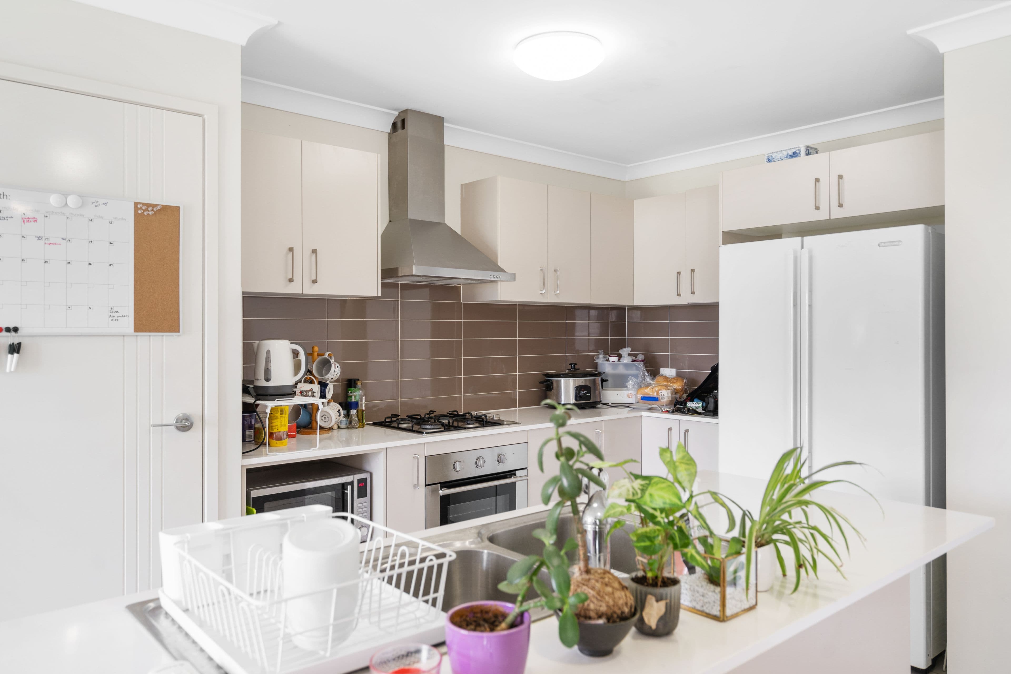 15 Lemongrass Circuit, Griffin QLD 4503, Griffin - Thumbnail 5