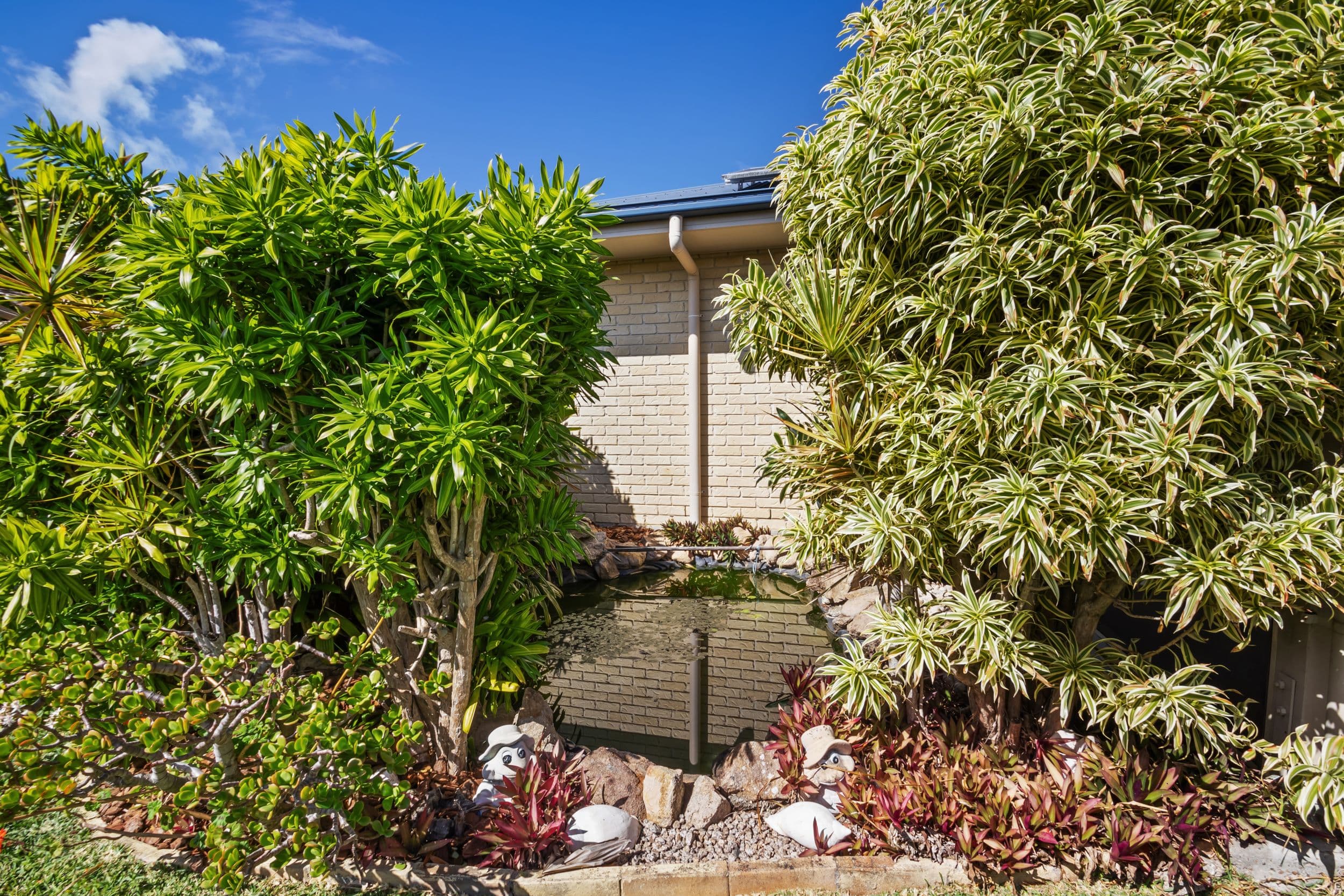 4 Jacob Court, Bellmere QLD 4510, Bellmere - Thumbnail 6
