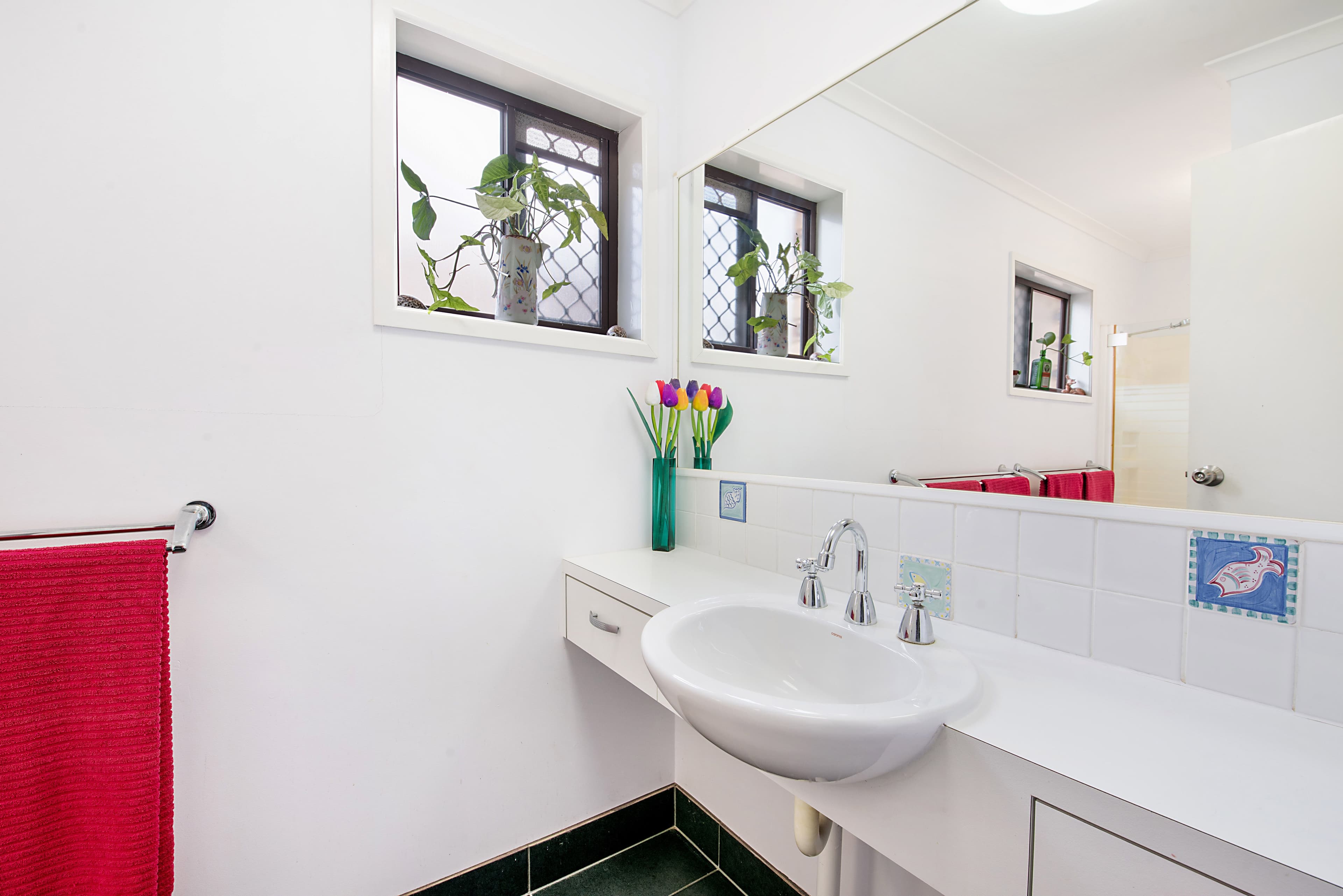 147 Burnett Street, Buderim QLD 4556, Buderim - Thumbnail 6