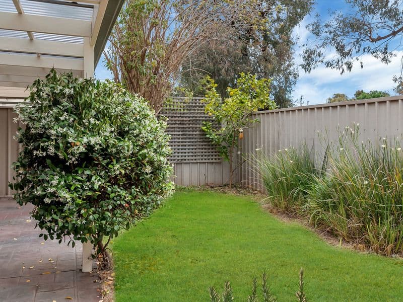  67 Conyngham Street, Glenside SA 5065, Glenside - Thumbnail 8
