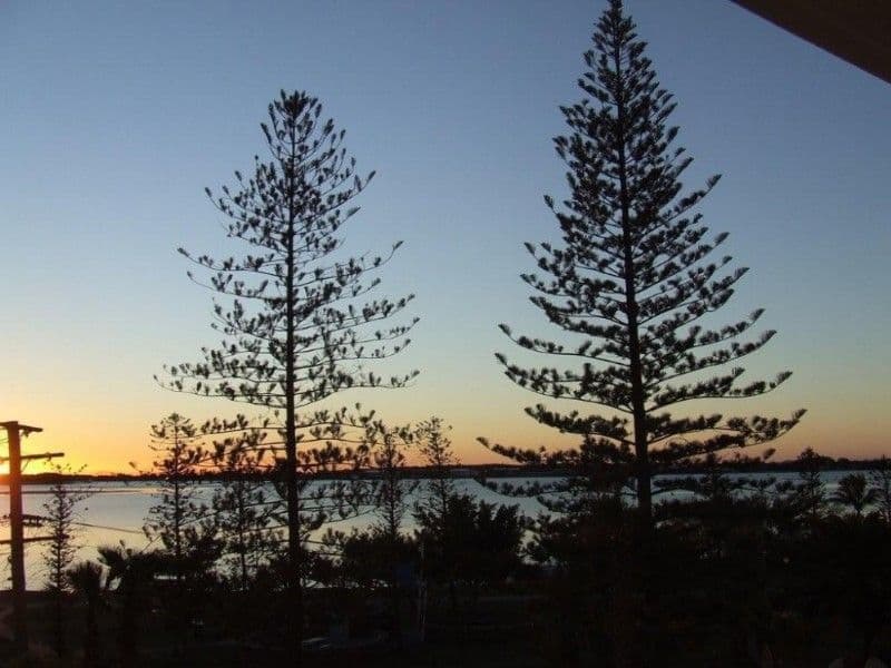 25 Toolimerin Avenue, Bayswater North, VIC, 3153, Bayswater North - Thumbnail 5