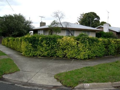 56 Curlew Crescent, NORLANE VIC 3214, Norlane - Thumbnail 2