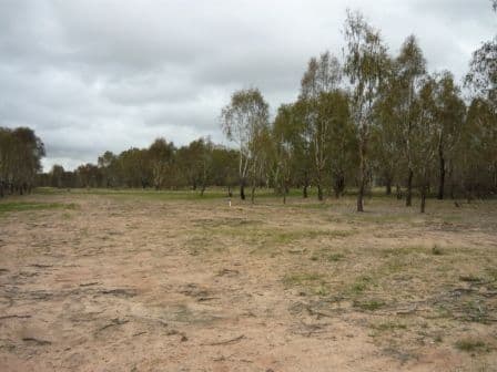 Lot 9 Kerrford Country Estate, THURGOONA NSW 2640, Thurgoona - Thumbnail 7