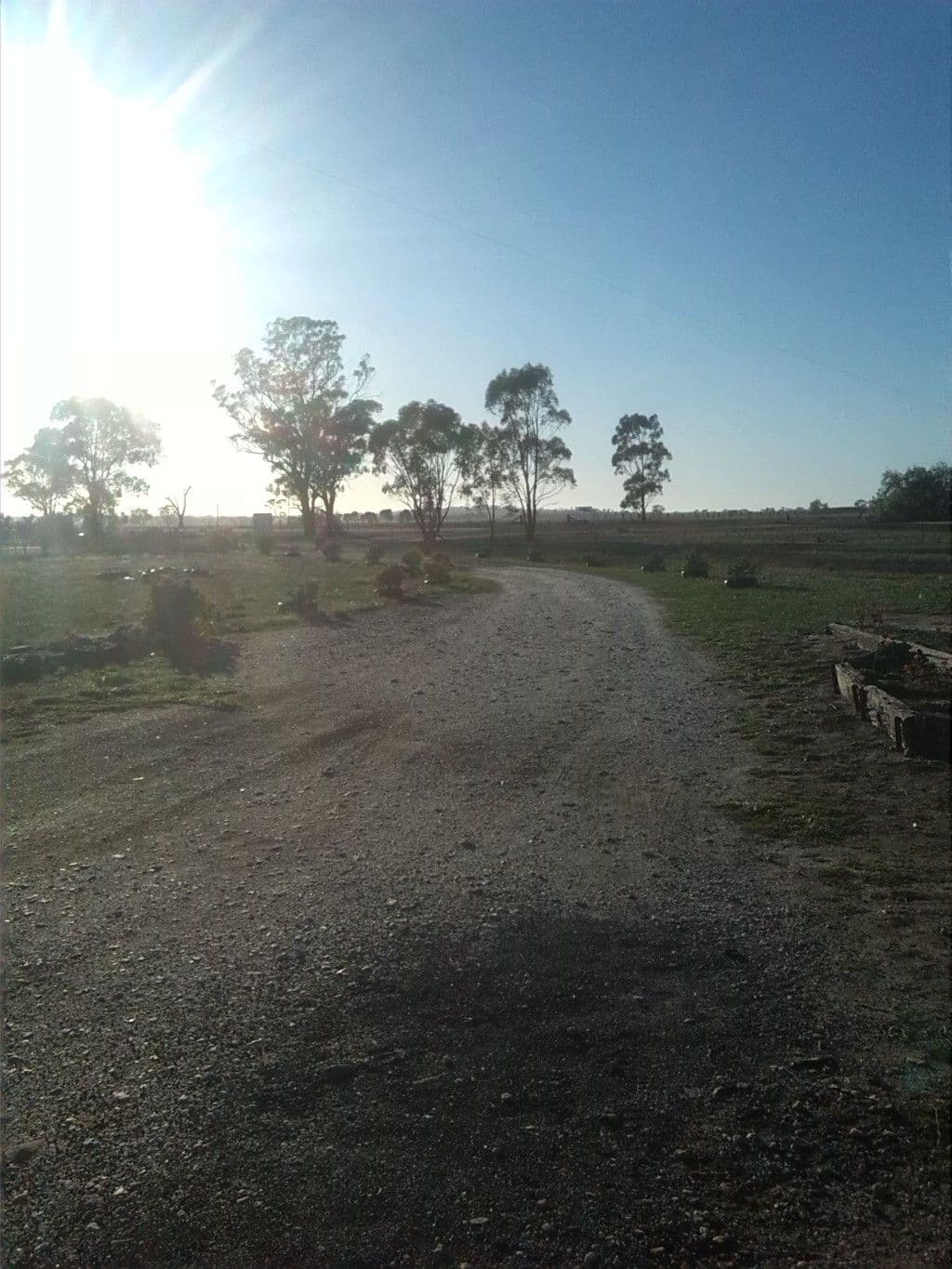 459 Charlton-Borung Road, Borung VIC 3518, Borung - Thumbnail 4