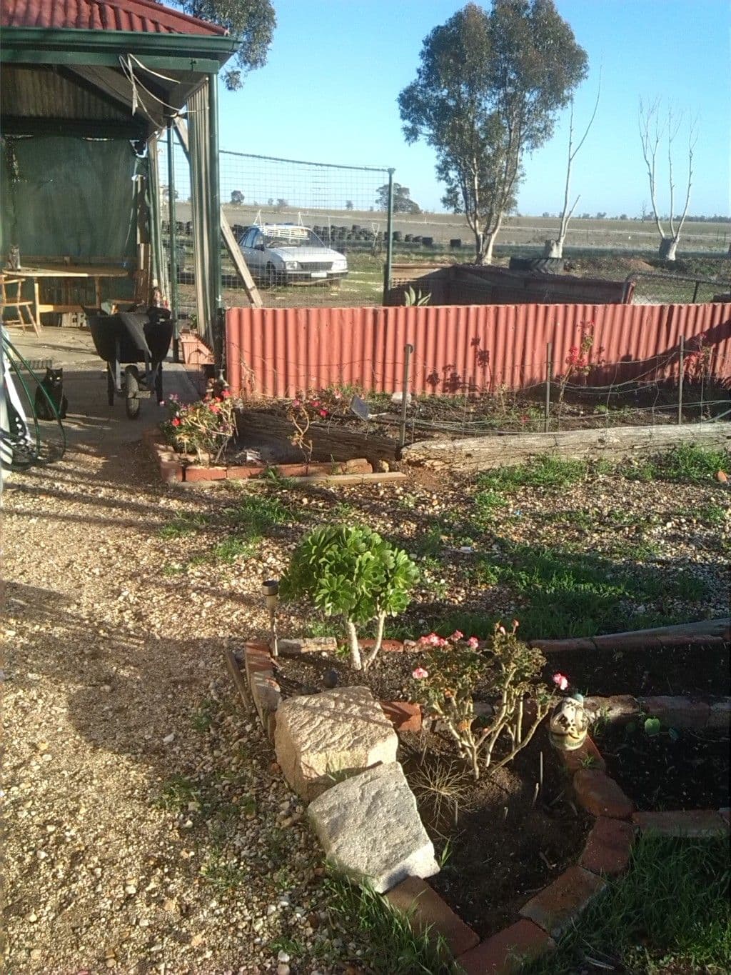 459 Charlton-Borung Road, Borung VIC 3518, Borung - Thumbnail 8