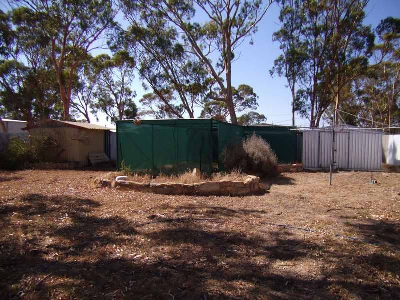 23 GARDINER Street, MOORA WA 6510, Moora - Thumbnail 7