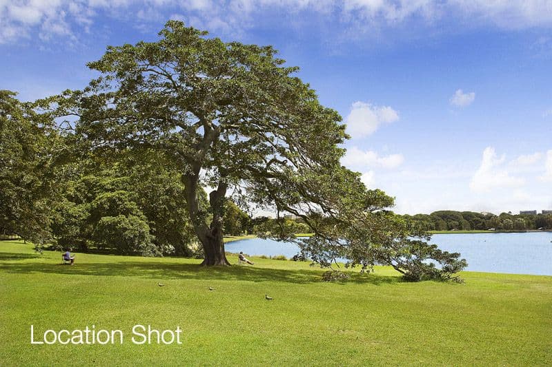 171 Darley Road, RANDWICK NSW 2031, Randwick - Thumbnail 4
