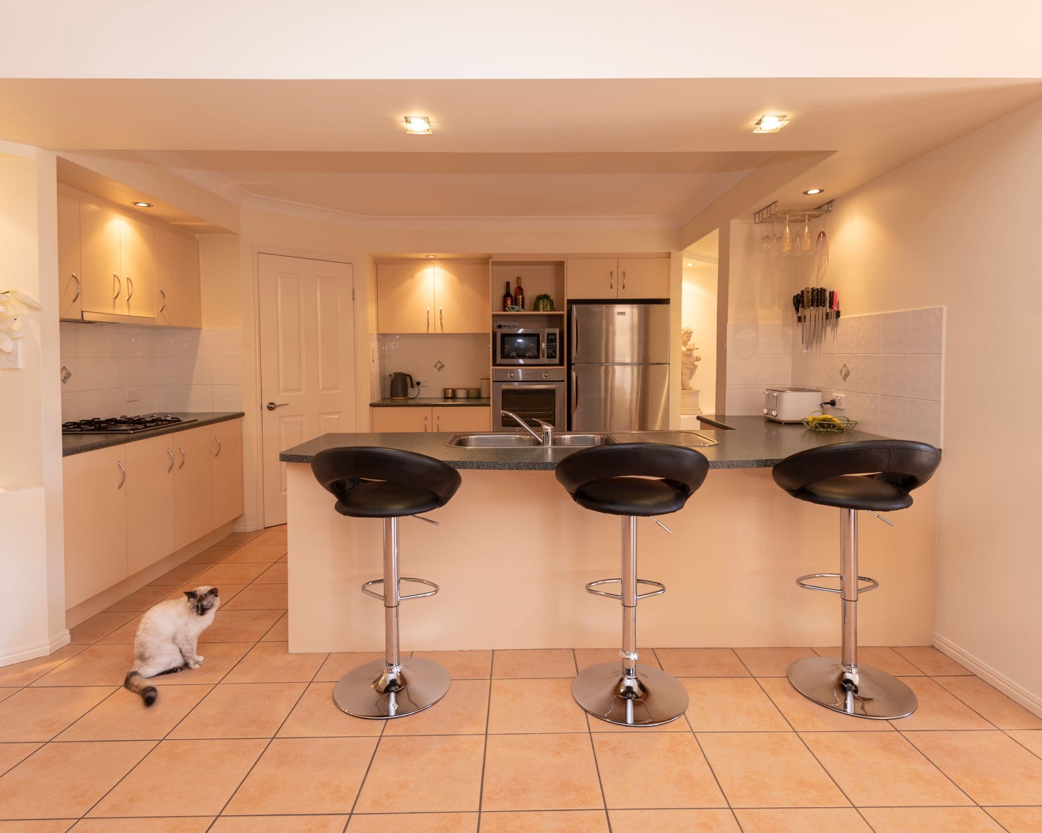 36 Kookaburra Terrace, Goonellabah NSW 2480, Goonellabah - Thumbnail 3