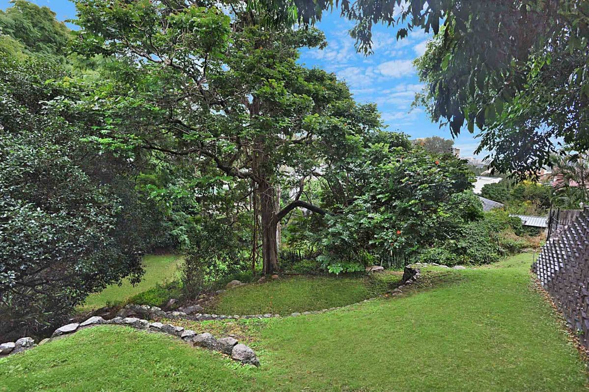 50 Markwell Street, Hamilton QLD 4007, Hamilton - Thumbnail 2